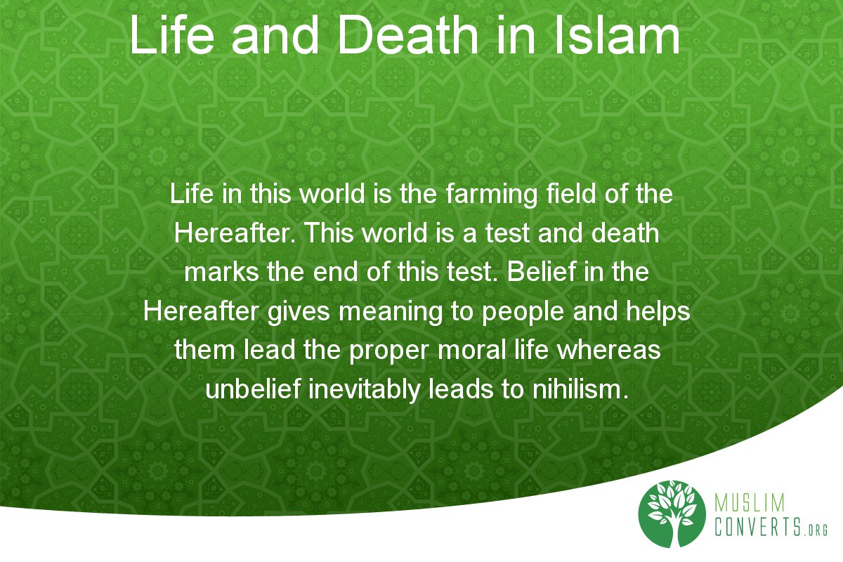 What Happens After Death in Islam, Blog